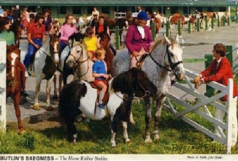 Riding Stables 